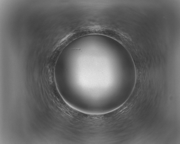 X0000052651205200507082023