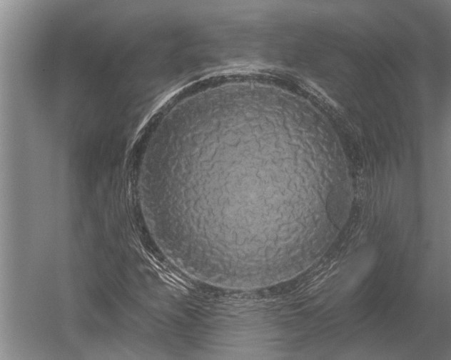 X0000052651208200507082023