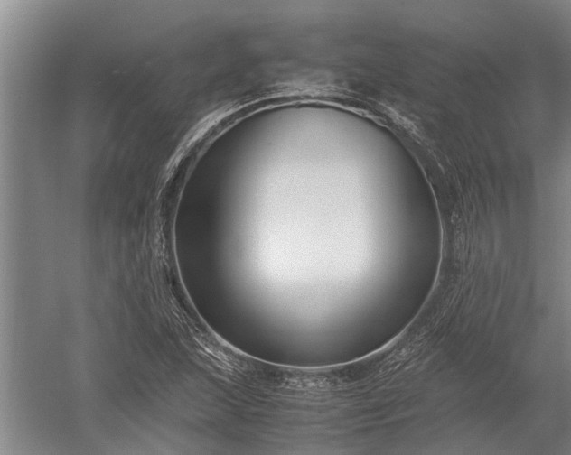 X0000052651215200507082023