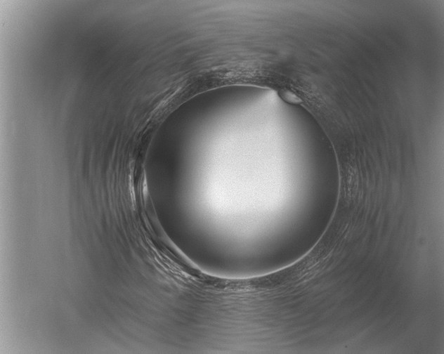 X0000052651250200507082023