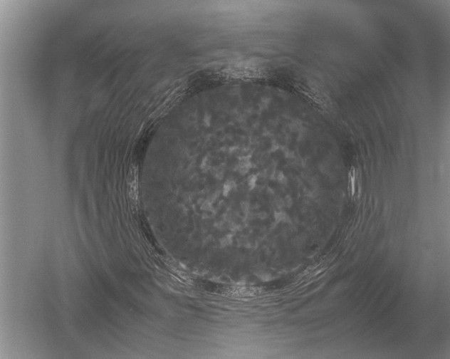 X0000052651251200507082023