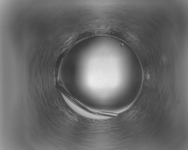 X0000052651252200507082022