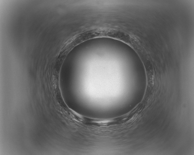 X0000052651253200507082022