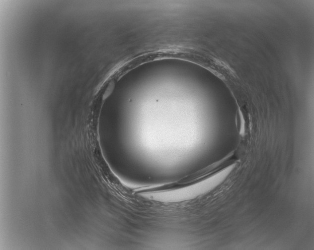 X0000052651256200507082022