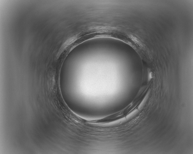 X0000052651261200507082022