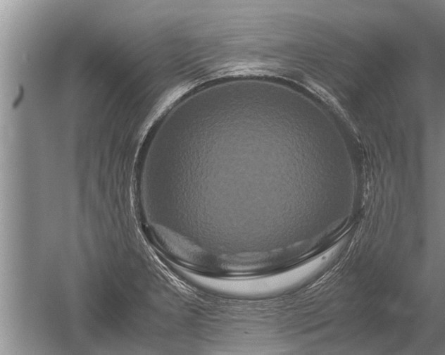 X0000052651277200507082022