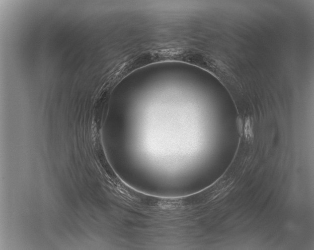 X0000052651299200507082021