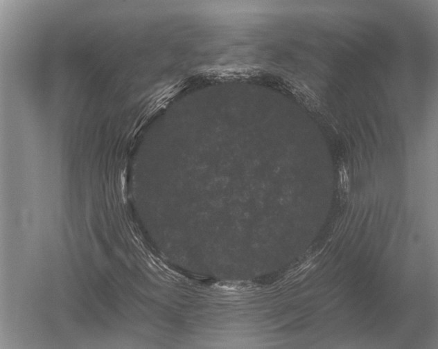 X0000052651300200507082021