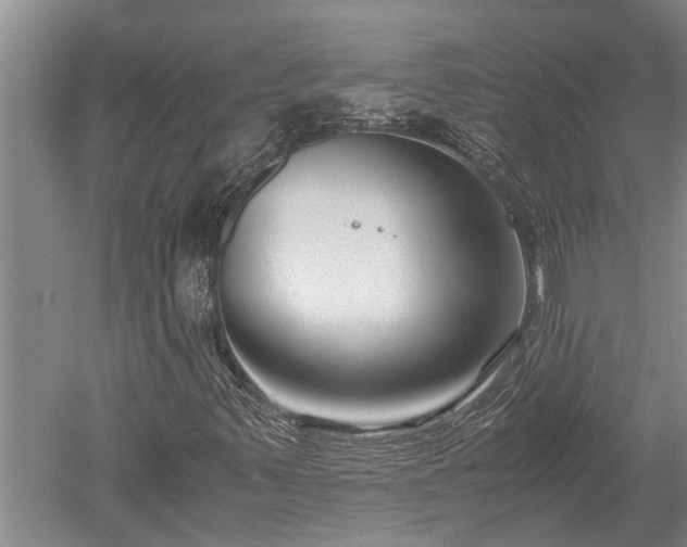 X0000052651347200507082021