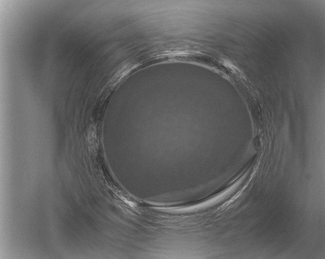 X0000052651353200507082021