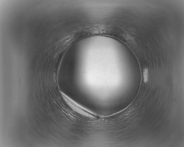 X0000052651444200507082019
