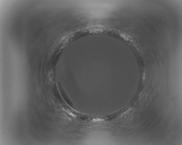 X0000052651445200507082019
