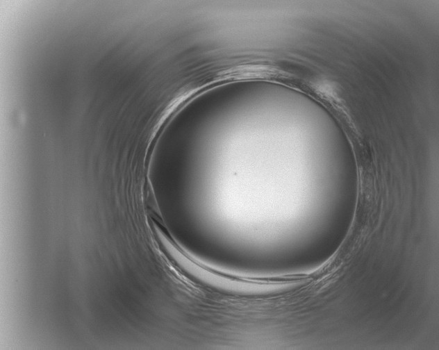 X0000052651473200507082019
