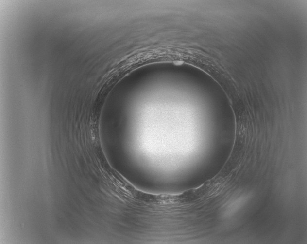 X0000052651490200507082018