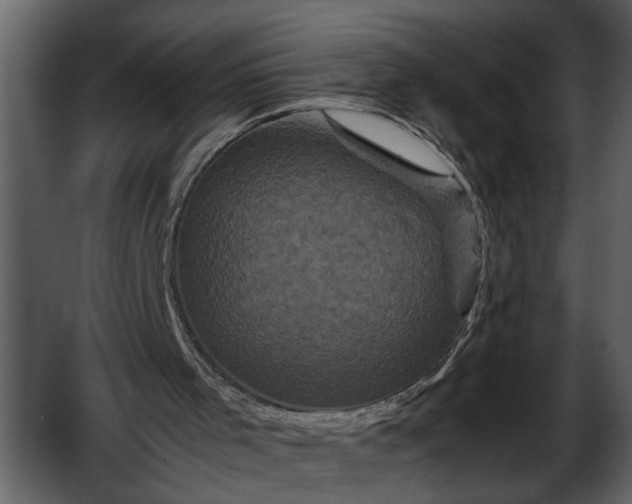 X0000052650001200507160235