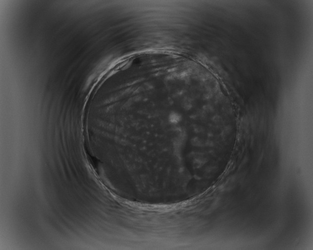 X0000052650002200507160235