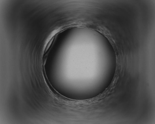 X0000052650003200507160235