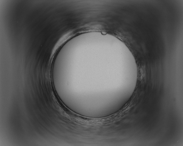 X0000052650004200507160235