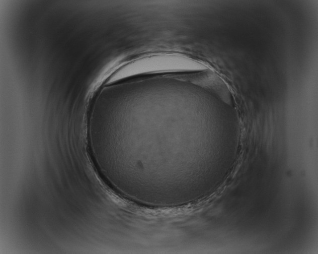 X0000052650005200507160235