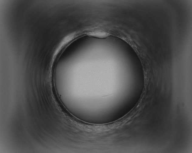 X0000052650006200507160235