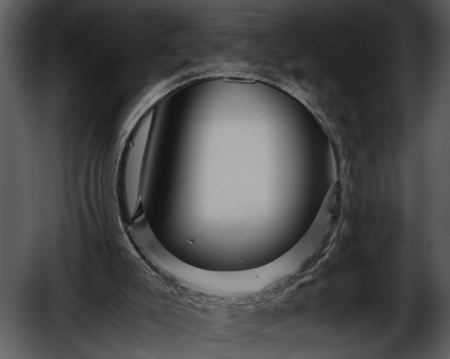 X0000052650007200507160235