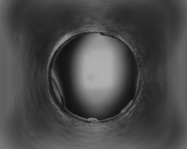 X0000052650008200507160235