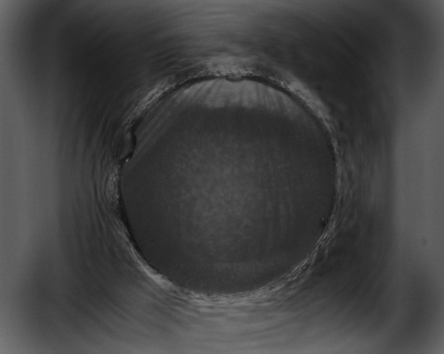 X0000052650009200507160235