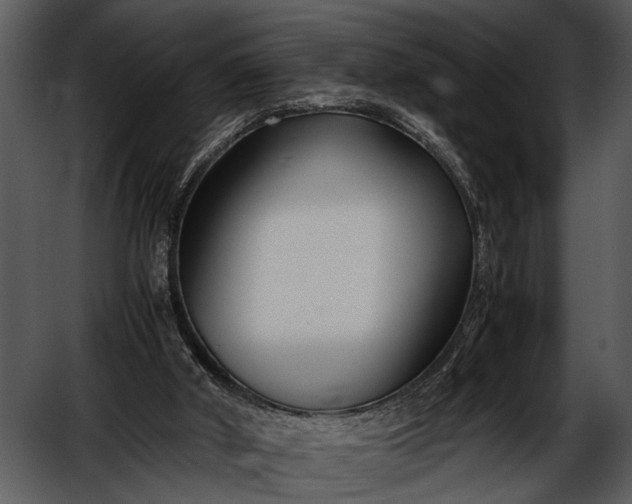 X0000052650010200507160235