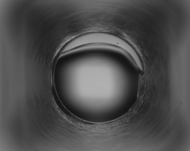 X0000052650011200507160235