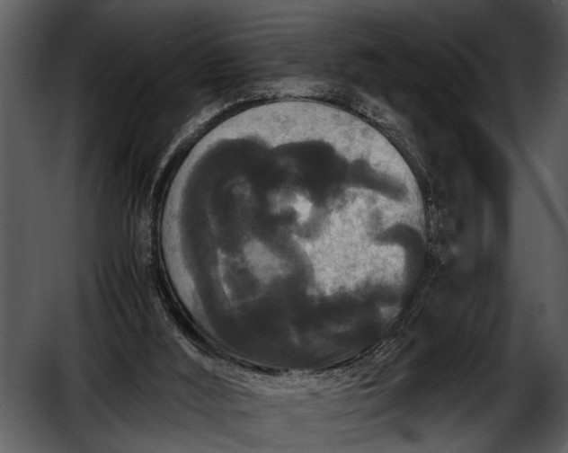 X0000052650012200507160235