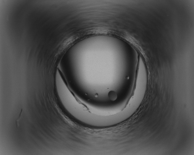 X0000052650013200507160235