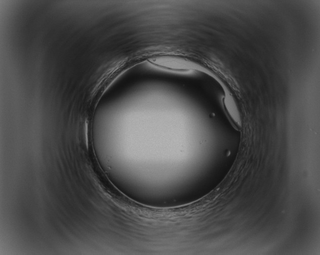 X0000052650014200507160235