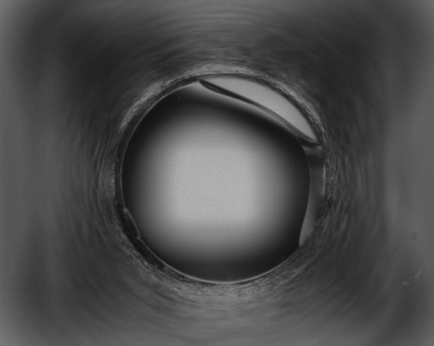 X0000052650015200507160235