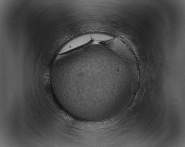 X0000052650017200507160235