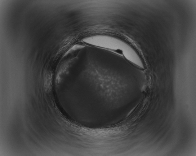 X0000052650018200507160235