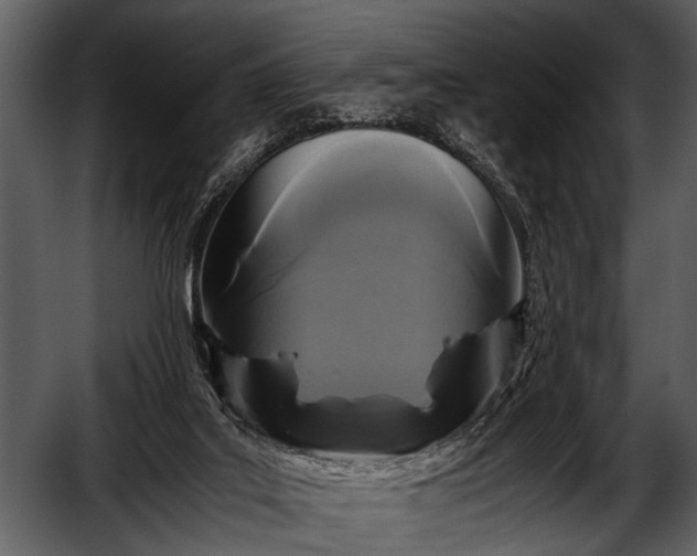 X0000052650019200507160235