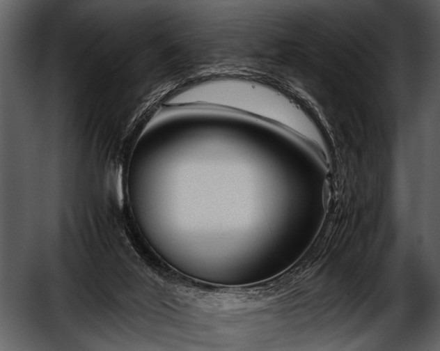 X0000052650020200507160235