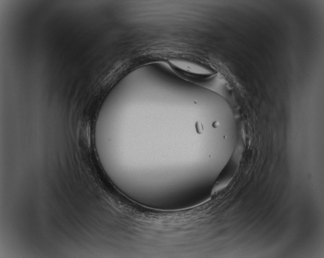 X0000052650021200507160235