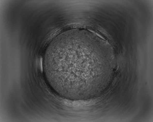 X0000052650022200507160235