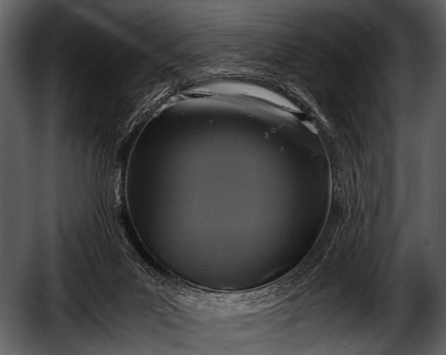 X0000052650023200507160235