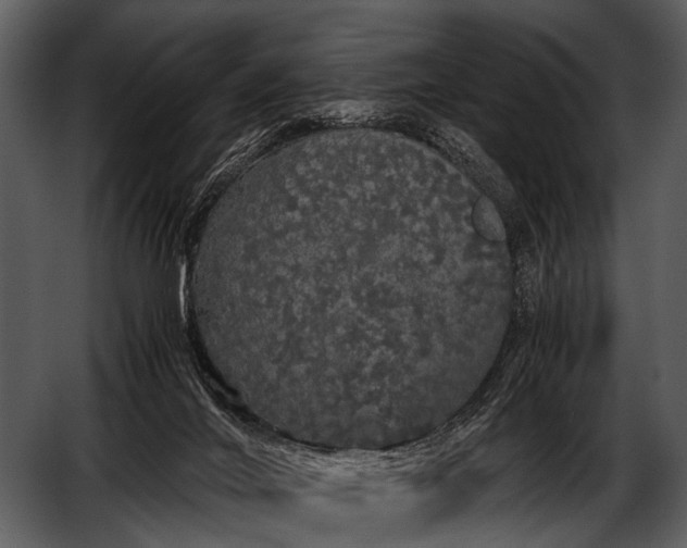 X0000052650024200507160235