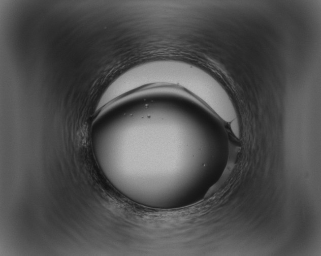 X0000052650025200507160235