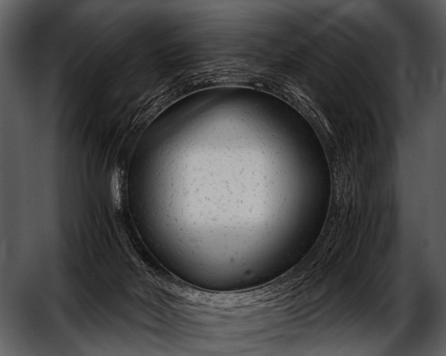 X0000052650026200507160235