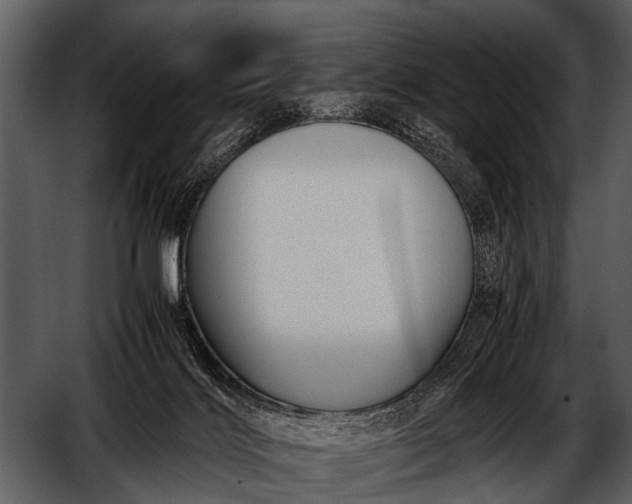 X0000052650028200507160235