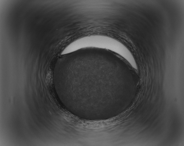 X0000052650029200507160235