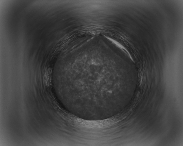 X0000052650030200507160235