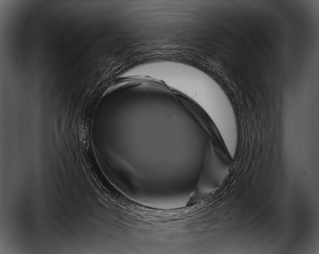 X0000052650031200507160235