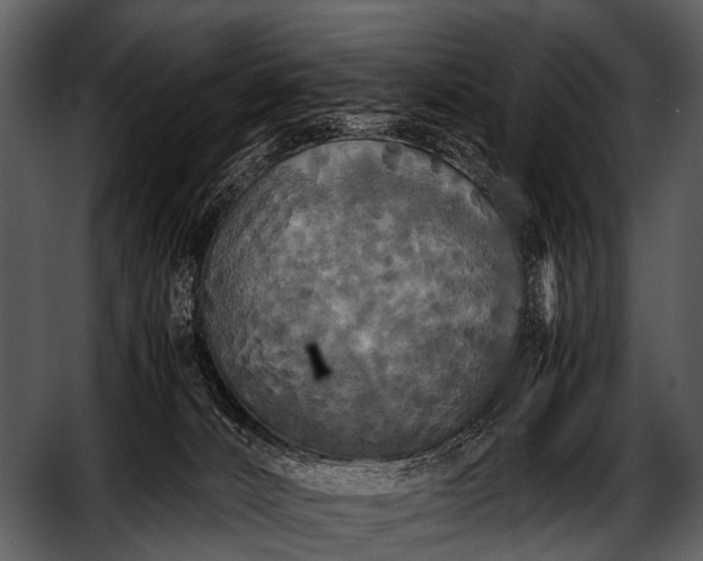 X0000052650032200507160235