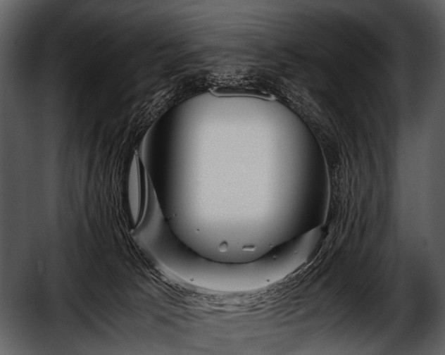 X0000052650033200507160235