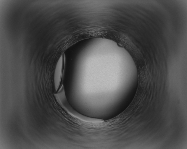 X0000052650034200507160235